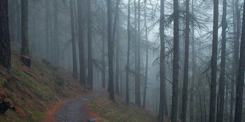 丝绒回潮,复古新生:从装饰艺术到迪斯科,如何挑选你的梦幻复古丝绒婚纱