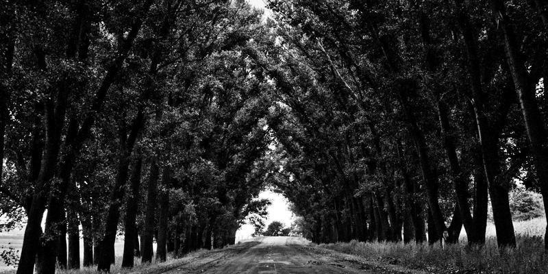 告别流水线浪漫:5个小众设计师新娘礼服品牌,打造独一无二的婚礼高光