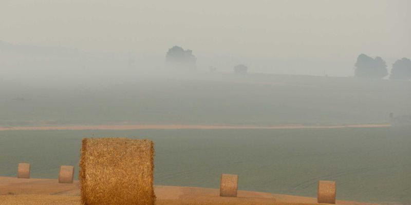 大码新娘的自信绽放：精选礼服品牌与定制攻略，让丰满身材成为婚礼焦点