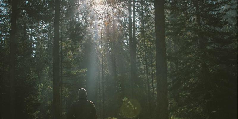 新郎礼服如何与新娘主纱完美呼应？色彩与材质的和谐搭配艺术