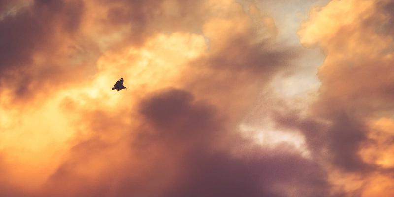 梨形身材新娘礼服终极指南：扬长避短的裙型、面料与装饰细节全解析