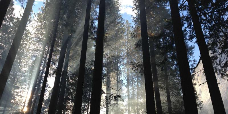 草坪、沙滩与山野间的新娘：户外婚礼礼服实用主义指南